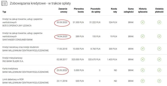 Jak sprawdzić zdolność kredytową w BIK i uniknąć błędów finansowych Jak sprawdzić zdolność kredytową w BIK i uniknąć błędów finansowych